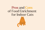 Pros and Cons of Food Enrichment for Indoor Cats