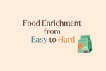 Food Enrichment Ideas from Easy to Challenging for Indoor Cats
