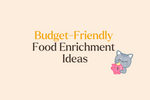 Cheap, Rich, and DIY Food Enrichment Ideas for Indoor Cats