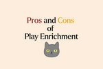 5 Pros and Cons of Play Enrichment for Indoor Cats