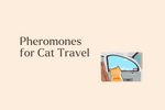 Traveling with Cats: Can Pheromones Make Car Rides Less Traumatizing?