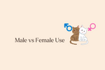 Do Male and Female Cats Use Pheromones Differently?