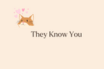 More Than Just a Smell: How Pheromones Help Cats Recognize You