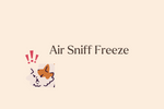 Why Your Cat Sniffs the Air and Freezes: The Flehmen Response Explained