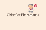 Do Pheromones Work on Older Cats? Understanding Age and Scent Sensitivity