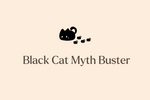 Black Cats Deserve Love Too: Why Coat Color Shouldn’t Influence Your Adoption Decision