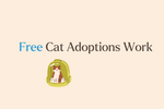 Free Cats, Real Results: Why Discounted Adoptions Work Better Than You Think
