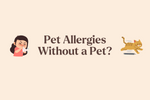 Are You Really “Not Exposed” to Pets? Maybe Not.