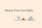 Calm in a Bottle? How Feline Facial Pheromones Help Reduce Stress at the Vet