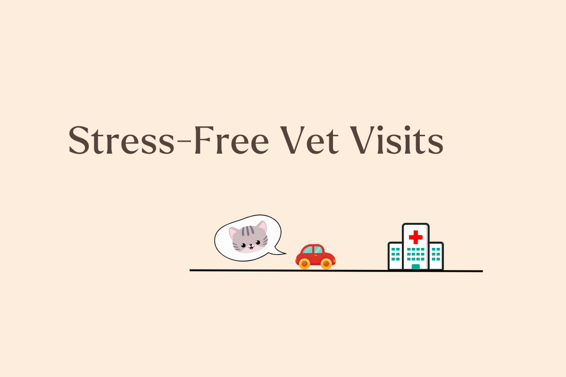 Calm in a Bottle? How Feline Facial Pheromones Help Reduce Stress at the Vet