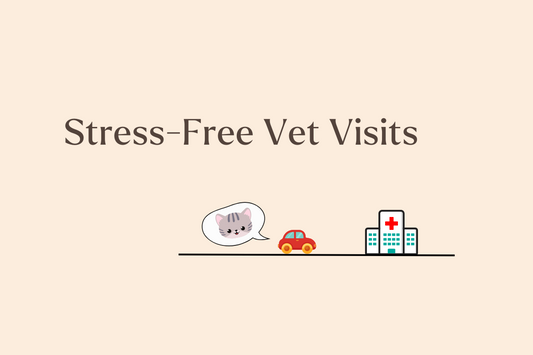 Calm in a Bottle? How Feline Facial Pheromones Help Reduce Stress at the Vet