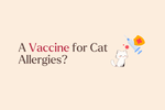 Vaccinating Your Cat to Help With Cat Allergens