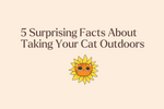 5 Surprising Facts About Taking Your Cat Outdoors