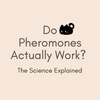 Do Cat Calming Pheromones Actually Work? The Science Explained