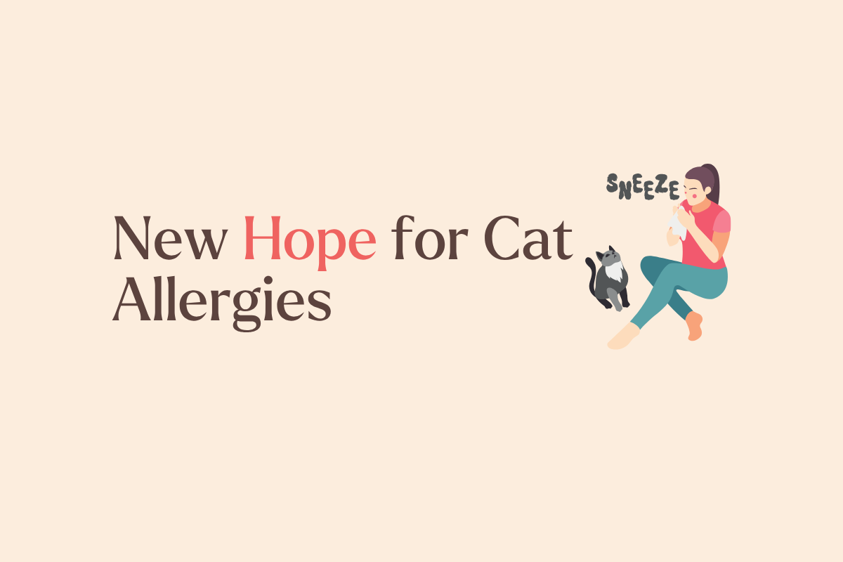 Feld 1 and an Antibody Treatment for Cat Allergy