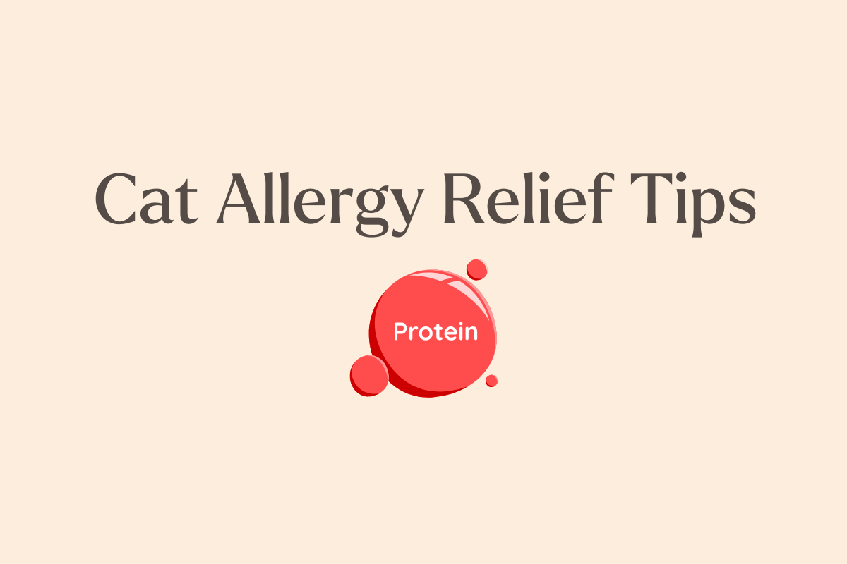 How to reduce cat allergens at home with air filtration that actually works