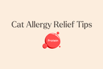 How to reduce cat allergens at home with air filtration that actually works