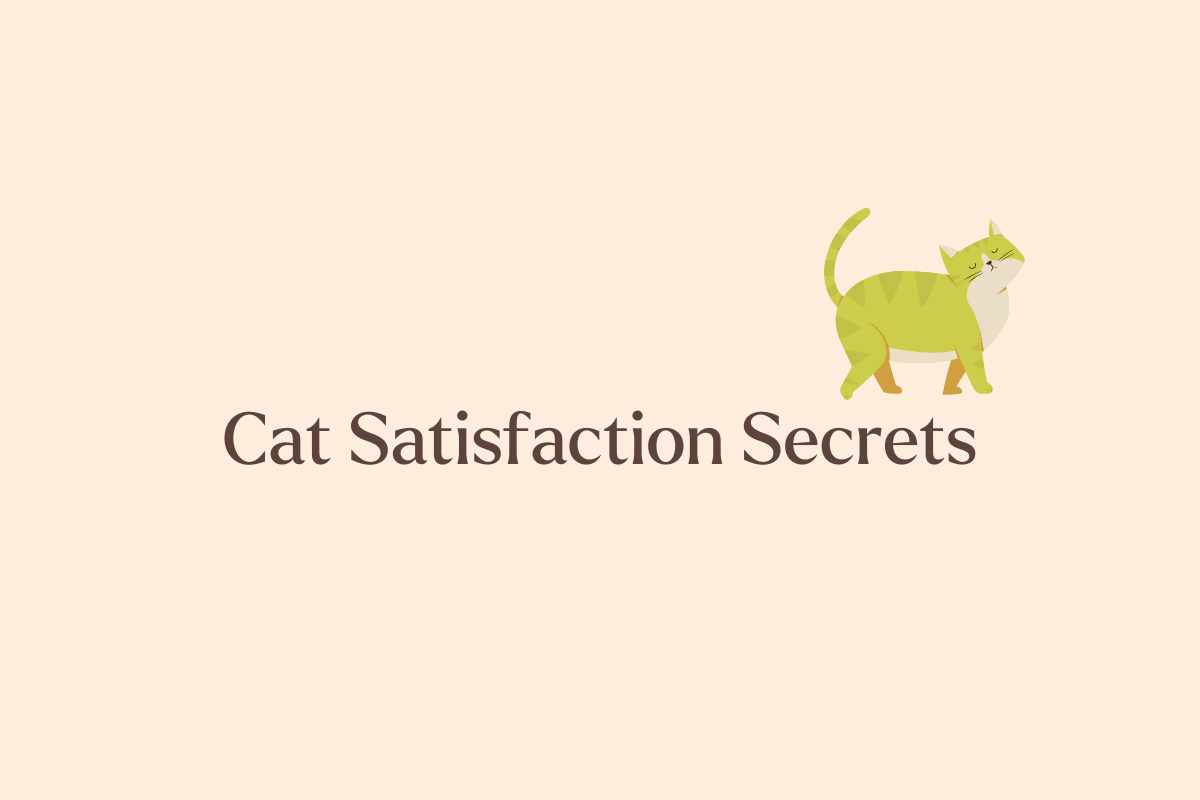 Why Your Cat Needs More to be Satisfied