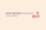 How Historical Views Shape Attitudes Toward Cats in 3 Different Cultures