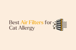 How Air Filters Can Help With Cat Allergy Relief