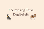 7 Cultural Beliefs About Cats and Dogs You Didn't Know