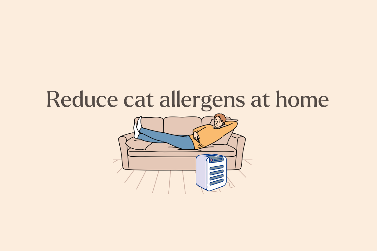 Cat Allergies: What’s Really Causing Them—and What You Can Try Today