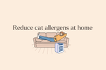 Cat Allergies: What’s Really Causing Them—and What You Can Try Today