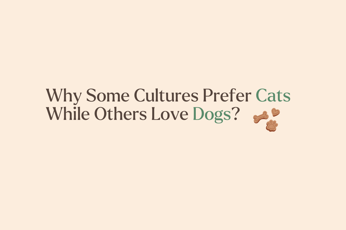 Why Some Cultures Prefer Cats While Others Love Dogs