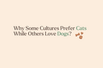 Why Some Cultures Prefer Cats While Others Love Dogs