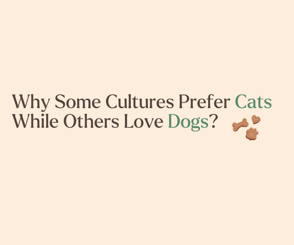 Why Some Cultures Prefer Cats While Others Love Dogs – Mori Cat