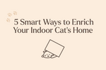 From Simple to Challenging: 5 Smart Ways to Enrich Your Indoor Cat’s Home