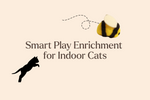 5 Smart Play Enrichment Ideas to Keep Indoor Cats Happy and Active