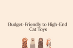 Affordable to Luxury Play Enrichment Ideas Your Indoor Cat Will Love