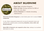 The Catnip Monopoly vs. The Silvervine Underground: Solving the "Genetic Non-Responder" Cat Mystery