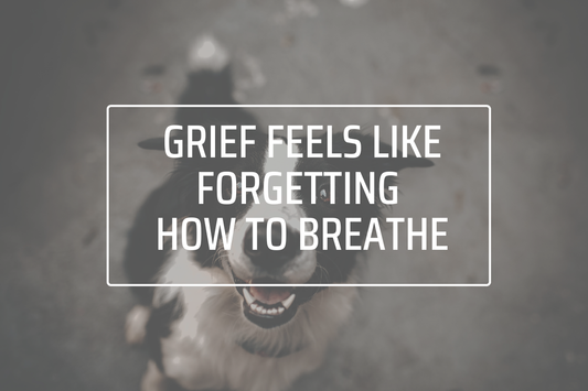 _I Didn’t Want to Let Go—So I Found a Way to Carry Her With Me