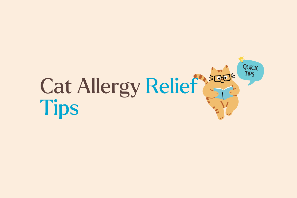 Cat Allergy? Need Better Protection From Cat Allergens Indoors