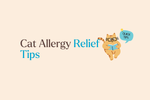 Cat Allergy? Need Better Protection From Cat Allergens Indoors