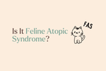 Feline Atopic Syndrome and What It Means for Cat Allergies