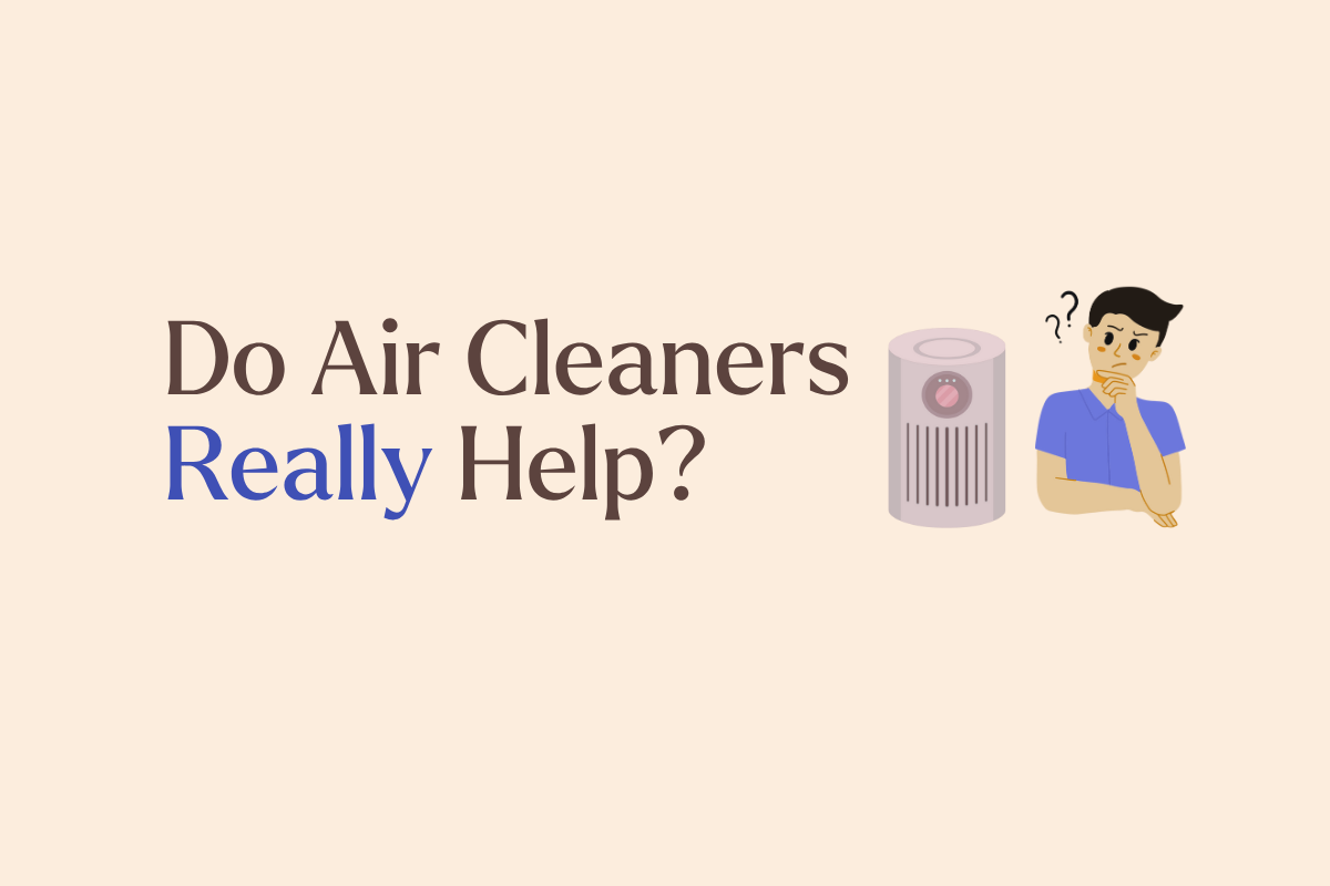 If You Have Cat Allergies, Try Air Cleaners to Breathe Easier Indoors