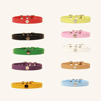Collection image for: Modular Cat Collar Only