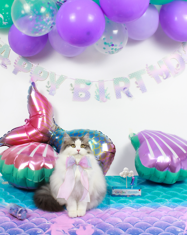 Mermaid Purple Fantasy - Cat and Dog Birthday Party Kit