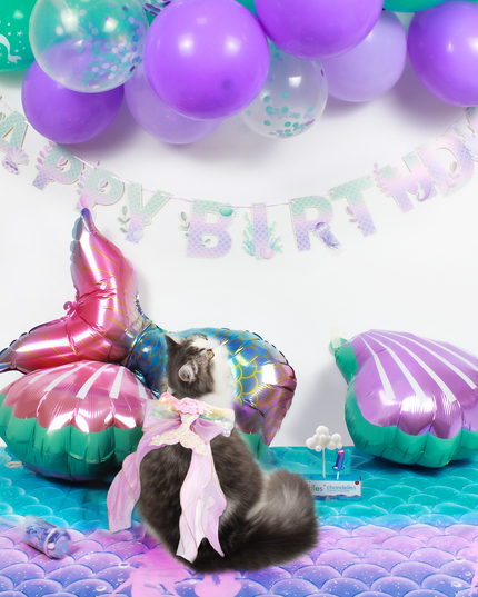 Mermaid Purple Fantasy - Cat and Dog Birthday Party Kit