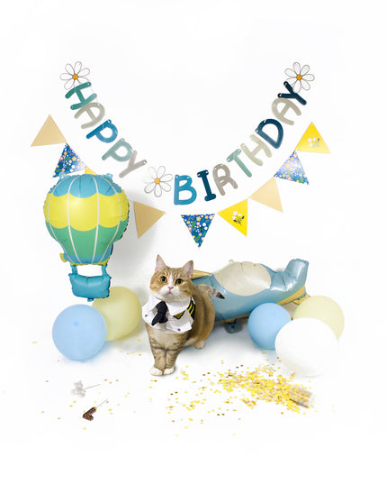Pilot Yellow Adventure - Cat and Dog Birthday Party Kit