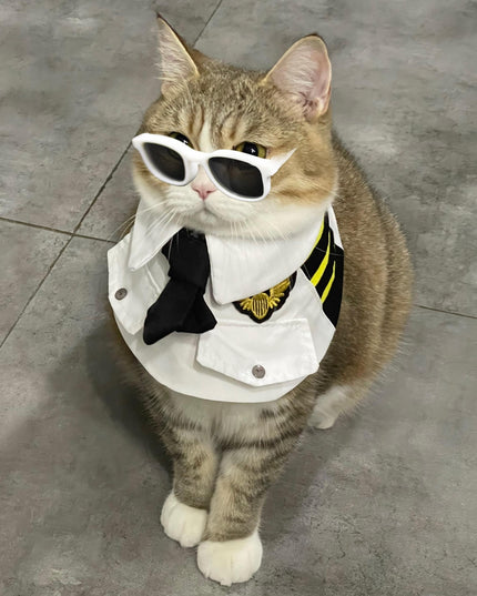 Pilot-Inspired Cat Collar