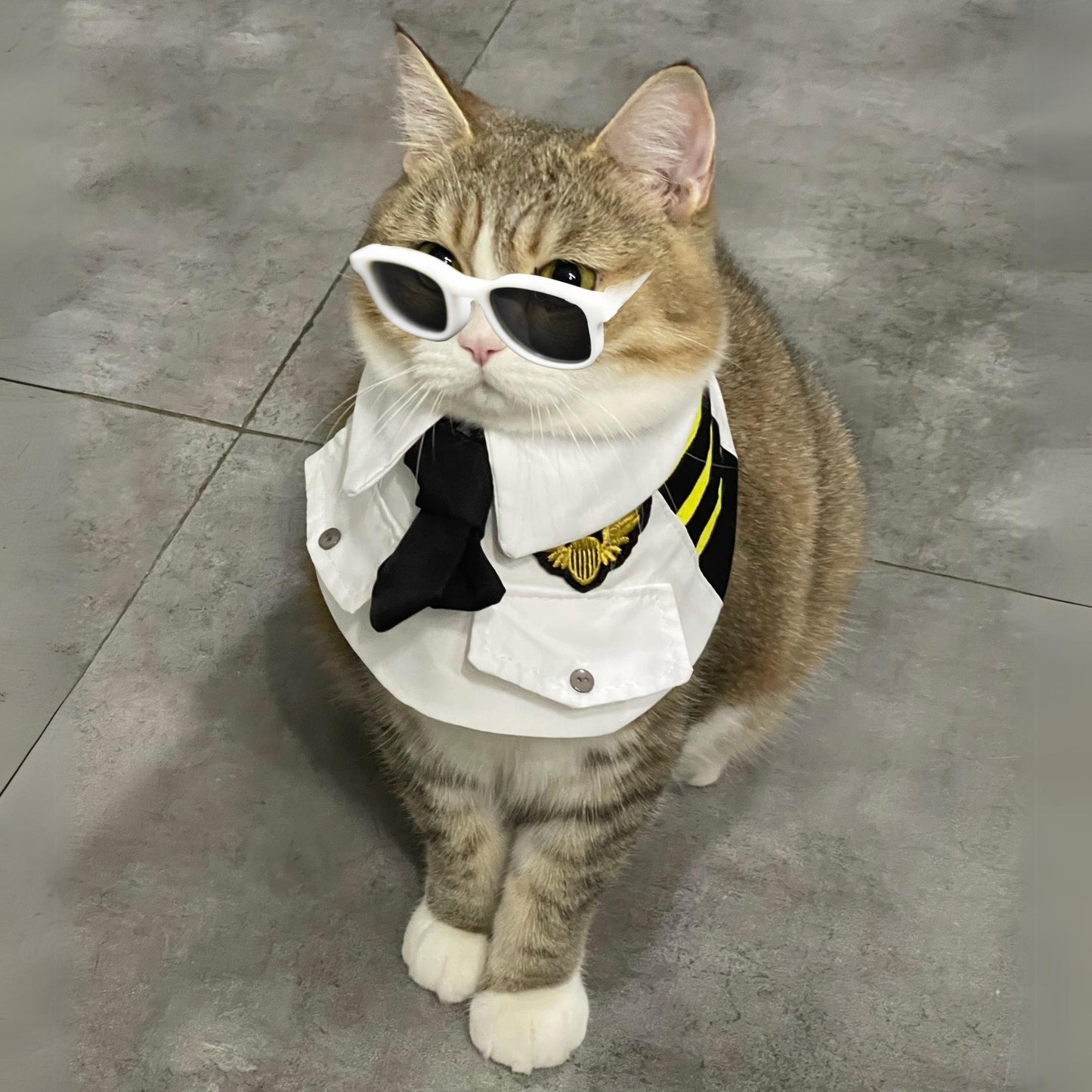 Pilot-Inspired Cat Collar