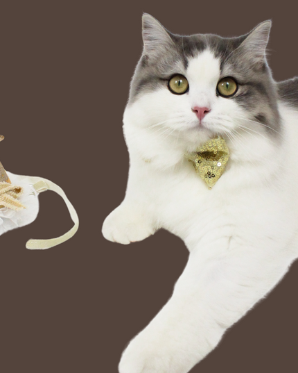 Glamour Sequins Bow Tie & Hat Set for Pets