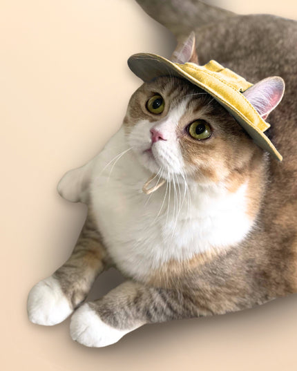 Japanese Style Sunny Paws Denim Bucket Hat for Pets