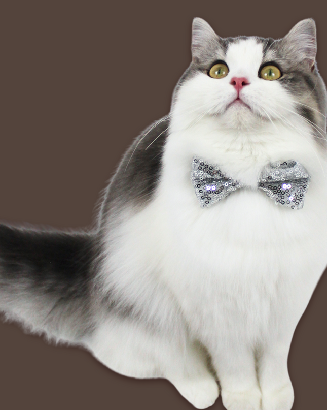 Silver Sequins Bow Tie for Pets