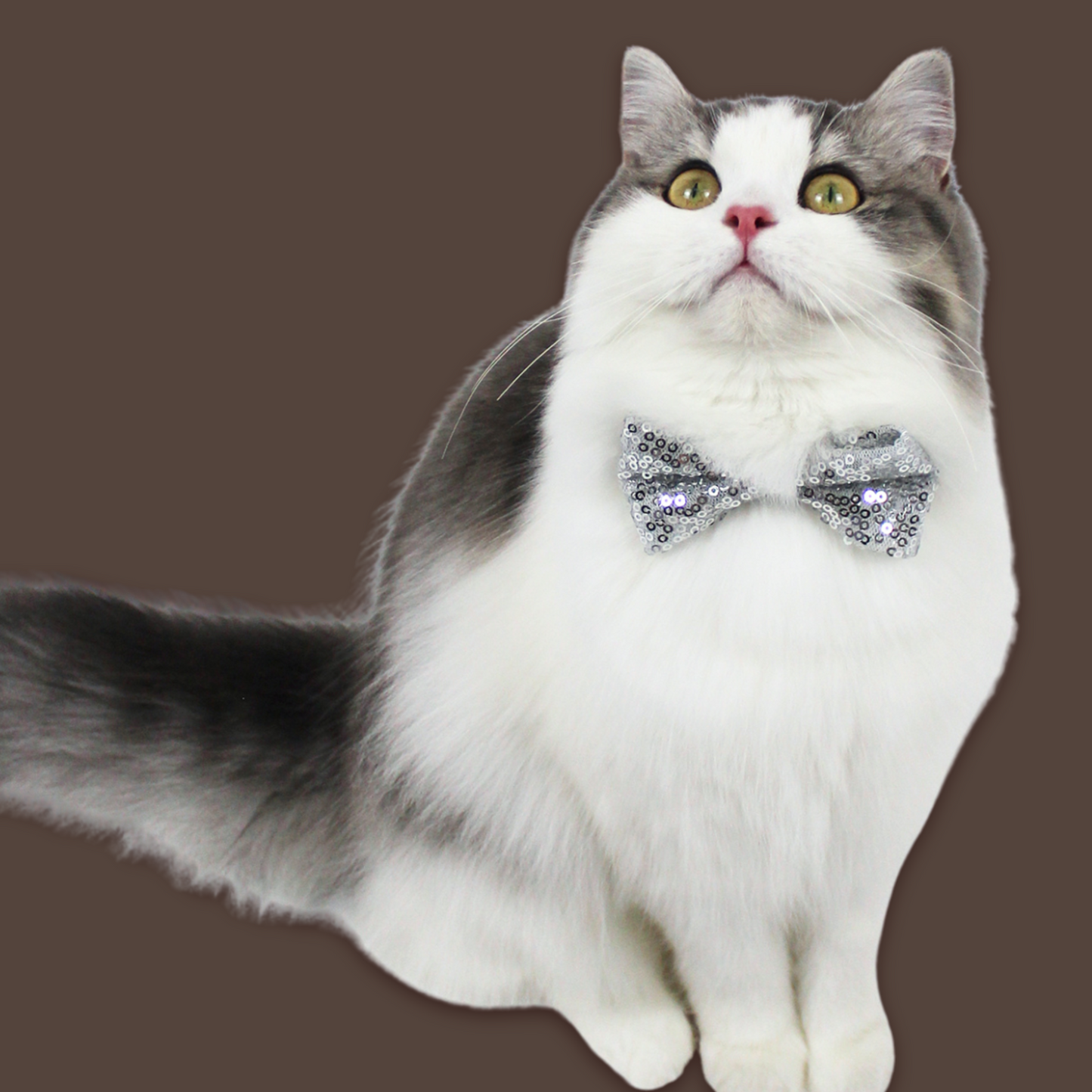 Silver Sequins Bow Tie for Pets