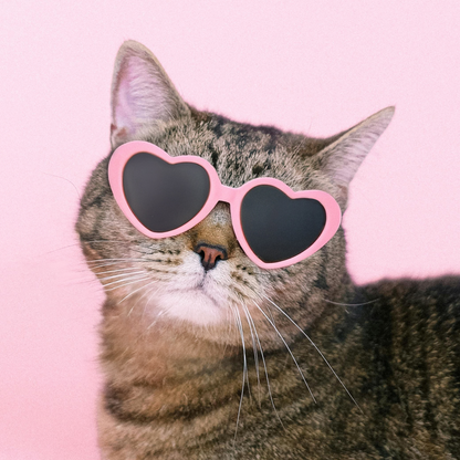Blush Pink Heart Sunglasses for Pets